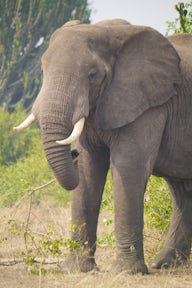Kidepo Valley National Park
