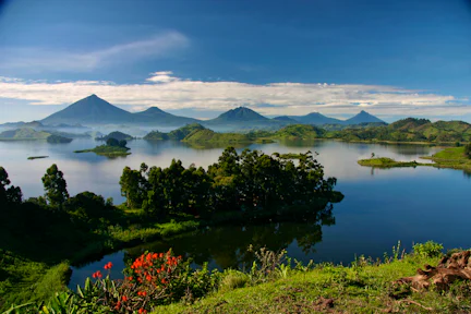 The Virunga Mountain Range; almost unimaginable beauty.
