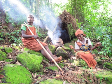 Bwindi Impenetrable National Park