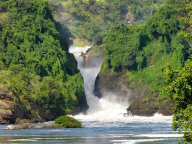 Murchison Falls National Park Safari