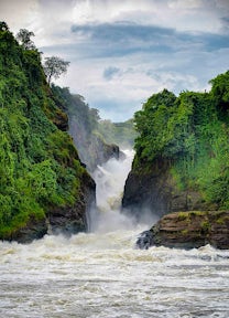 Murchison Falls National Park Safari