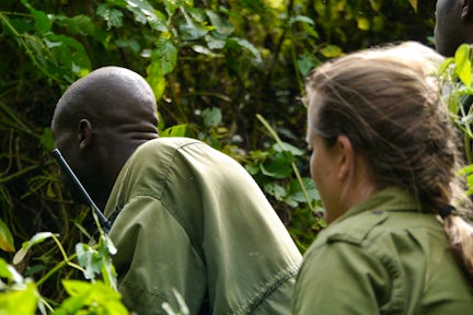 Is Gorilla Trekking Safe?