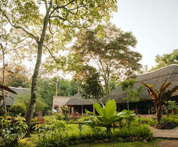 Primate Lodge Kibale