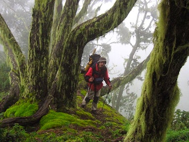 Flora and Fauna in the Rwenzori Mountains
