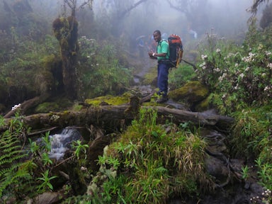 Rwenzori Mountains Trekking Cost