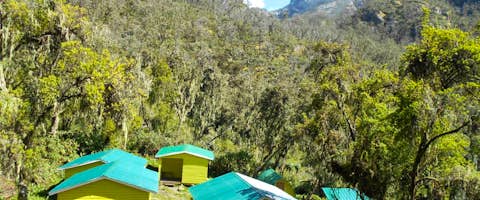 The Rwenzoris at a Glance