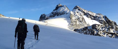 Seven Days to Margherita Peak