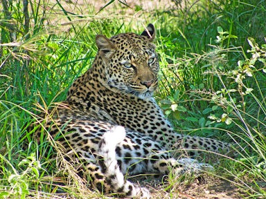 Kidepo Valley National Park
