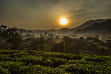 Uganda in October