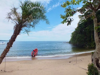 Ssese Islands