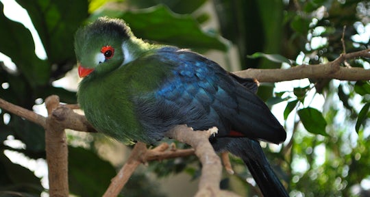 Fort Portal