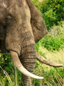 Queen Elizabeth National Park