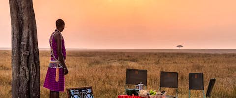 Gorilla Trekking & Kenya Safari