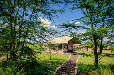 Little Elephant Camp
