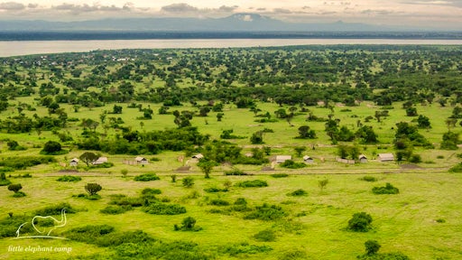 Little Elephant Camp