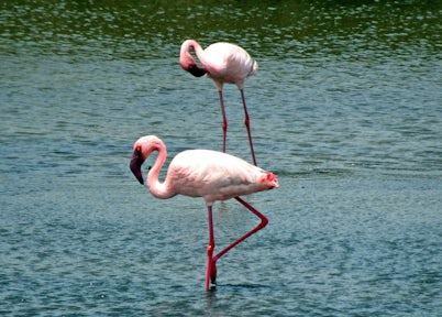 Lake Edward