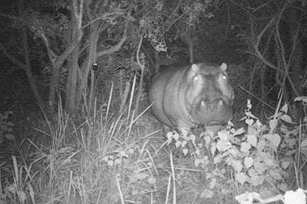Ziwa Rhino Sanctuary