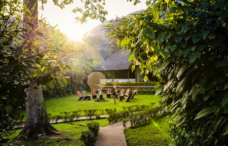 Bwindi Impenetrable National Park
