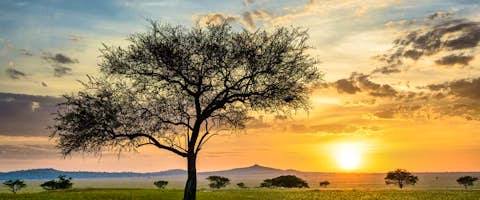 Uganda & Tanzania Safari